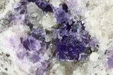 Purple, Cubic Fluorite Crystals with Quartz - Berbes, Spain #183827-1